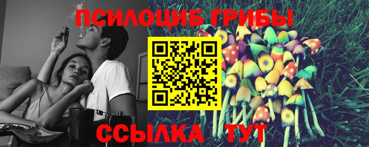 Абакан  как найти закладки  Вход с VPN  Псилоцибиновые грибы Cubensis 
