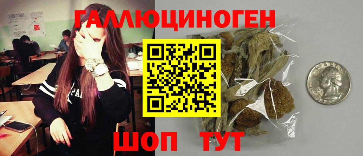 Галлюциногенные грибы ЛСД Абакан